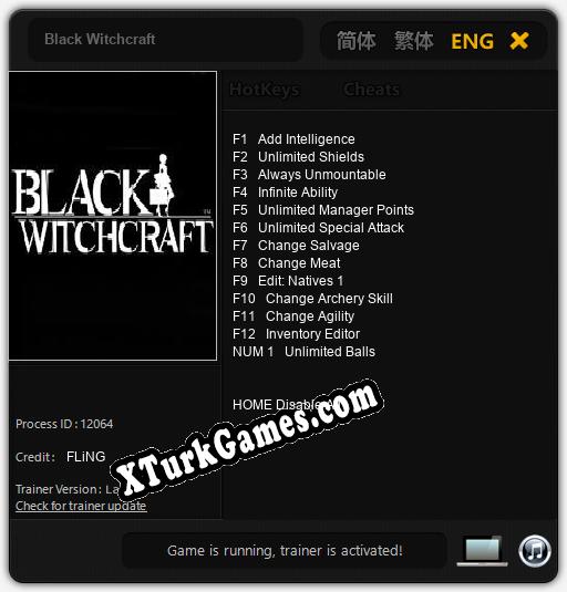 Black Witchcraft: Cheats, Trainer +13 [FLiNG]