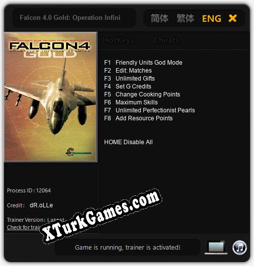 Falcon 4.0 Gold: Operation Infinite Resolve: Cheats, Trainer +8 [dR.oLLe]
