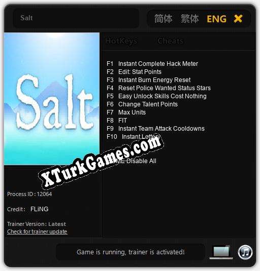 Salt: Cheats, Trainer +10 [FLiNG]